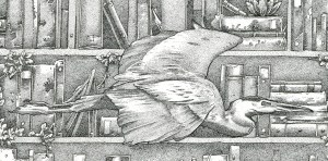 drowned_library_final_detail_1