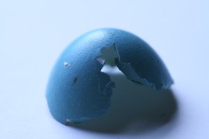 robin_egg