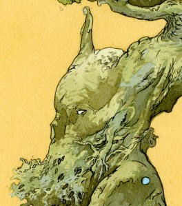 Evening_Tree_detail_1_web