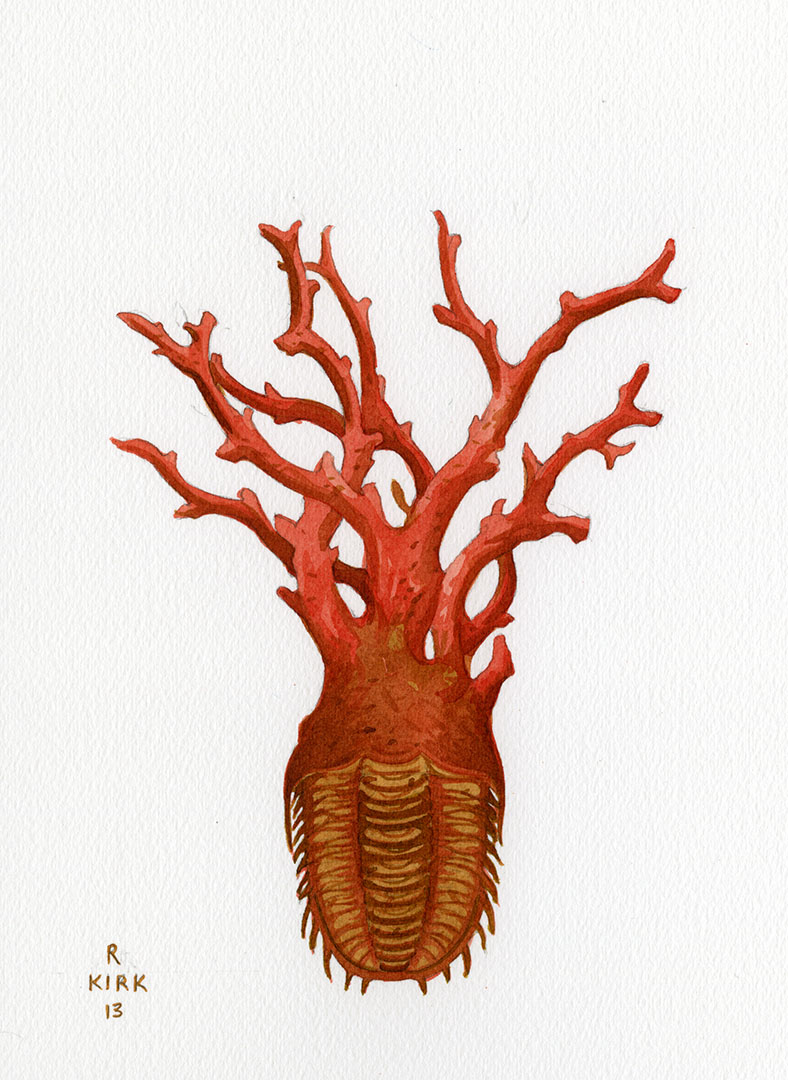 Red Coral Trilobite