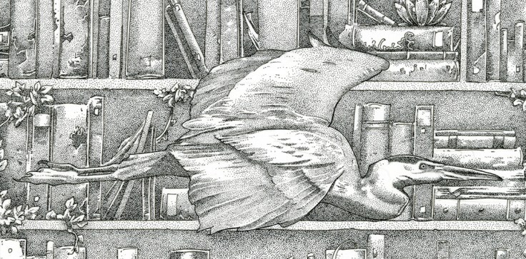 drowned_library_final_detail_1