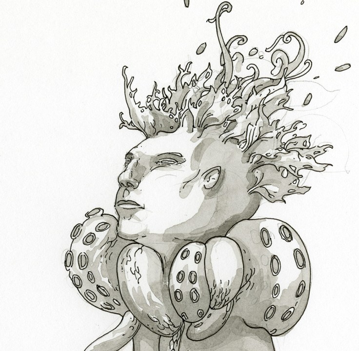 octopus_collar_detail