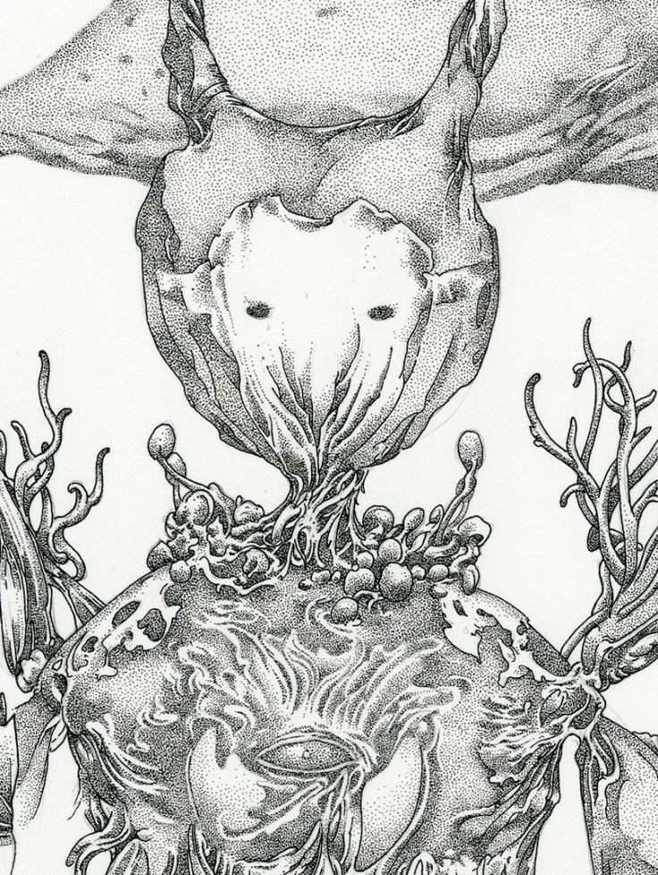 birthday_girl_web_detail_2