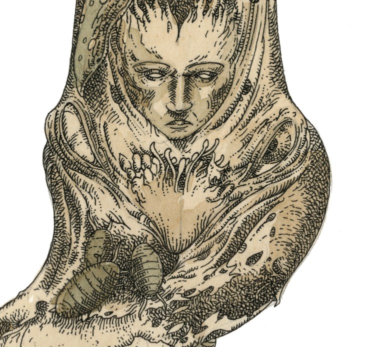 Firebug_final_web_detail_2