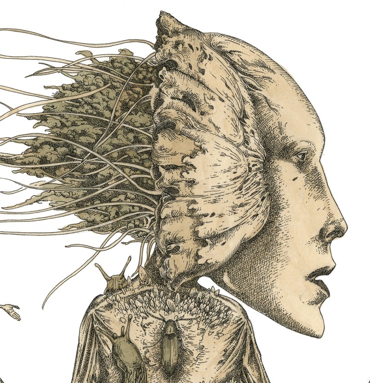 Firebug_final_web_detail_4