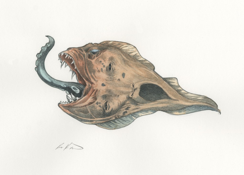 Watercolour of a fantastic fish